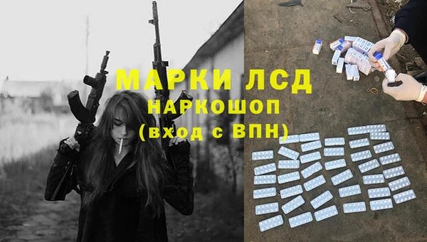 ПСИЛОЦИБИНОВЫЕ ГРИБЫ Арсеньев