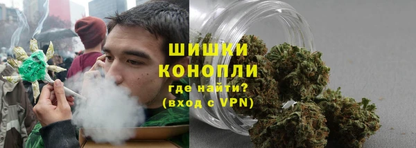 ПСИЛОЦИБИНОВЫЕ ГРИБЫ Арсеньев