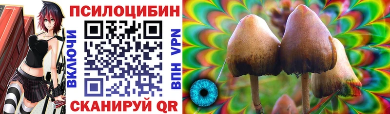 Галлюциногенные грибы мицелий  mega как зайти  Кириши 